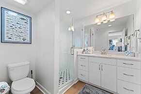 Needle Rush Point D11