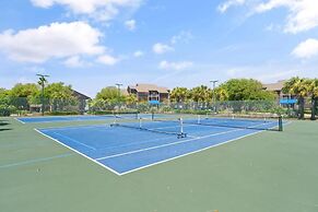 Needle Rush Point D11