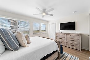 Needle Rush Point D11