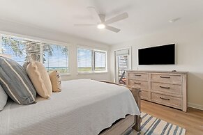 Needle Rush Point D11