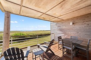 Needle Rush Point D11