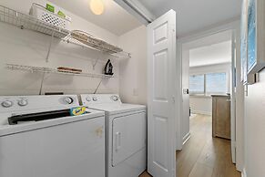 Needle Rush Point D11