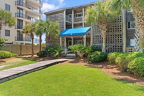 Needle Rush Point D11