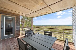 Needle Rush Point D11