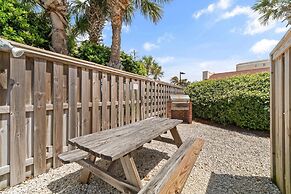 Needle Rush Point D11