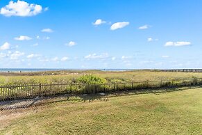 Needle Rush Point D11