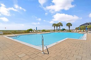 Needle Rush Point D11