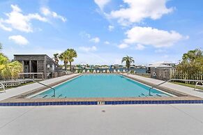 Needle Rush Point D11