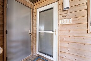 Needle Rush Point D11