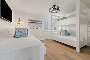 Needle Rush Point D11