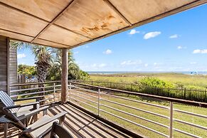 Needle Rush Point D11