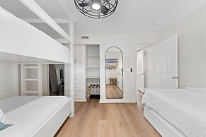 Needle Rush Point D11