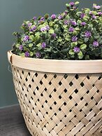 RentSmart Constitucion