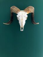 RentSmart Constitucion