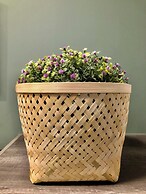 RentSmart Constitucion