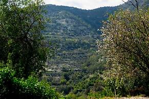 Old Olive Mill House