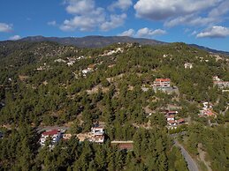 Nestor Hillside House