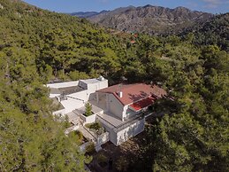 Nestor Hillside House