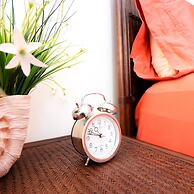 Have a Dream Vacation at High Tide