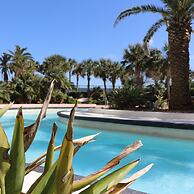 Have a Dream Vacation at High Tide