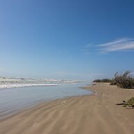 Gulf Adventures and Beachfront Relaxation Awaits