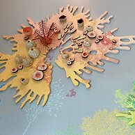 Beachside Paradise Retreat With Luxury