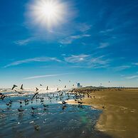 Relax in the Heart of Galveston