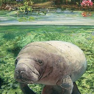 Clean Spacious Waterfront 2bd 2ba Sleeps 8