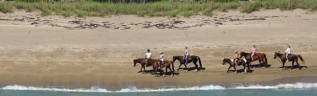 Secluded Beachfront Vibes Surf Pet Friendly