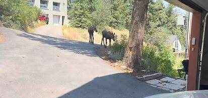 Park City Mountain Retreat 4BR Hot Tub Fire Pit