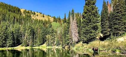 Park City Mountain Retreat 4BR Hot Tub Fire Pit