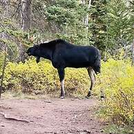 Park City Mountain Retreat 4BR Hot Tub Fire Pit