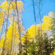 Park City Mountain Retreat 4BR Hot Tub Fire Pit