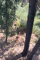 Park City Mountain Retreat 4BR Hot Tub Fire Pit