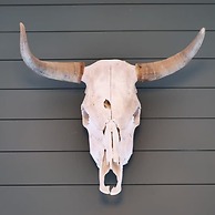 Grand Canyon Adventure Base 4BR Home With Games