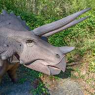 Jurassic Themed Adventure 4BR Home With Hot Tub