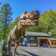 Jurassic Themed Adventure 4BR Home With Hot Tub