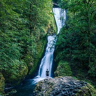 Jurassic Themed Adventure 4BR Home With Hot Tub