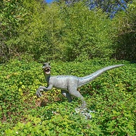 Jurassic Themed Adventure 4BR Home With Hot Tub