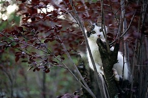 Casita de Piedra B&B