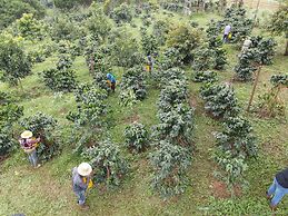 PIDA COFFEE FARM LODGE