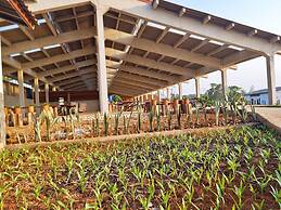 PIDA COFFEE FARM LODGE