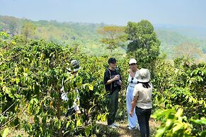 PIDA COFFEE FARM LODGE