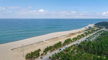 Donghae Starbeach pet Pension