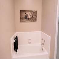 Historic Antebellum Manor