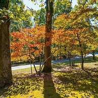 Grand Retreat Luxury Vacation for Large Groups