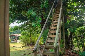 Coração da Terra Praia do Rosa