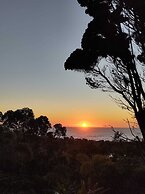 Coração da Terra Praia do Rosa