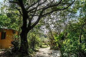 Coração da Terra Praia do Rosa