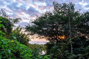 Coração da Terra Praia do Rosa